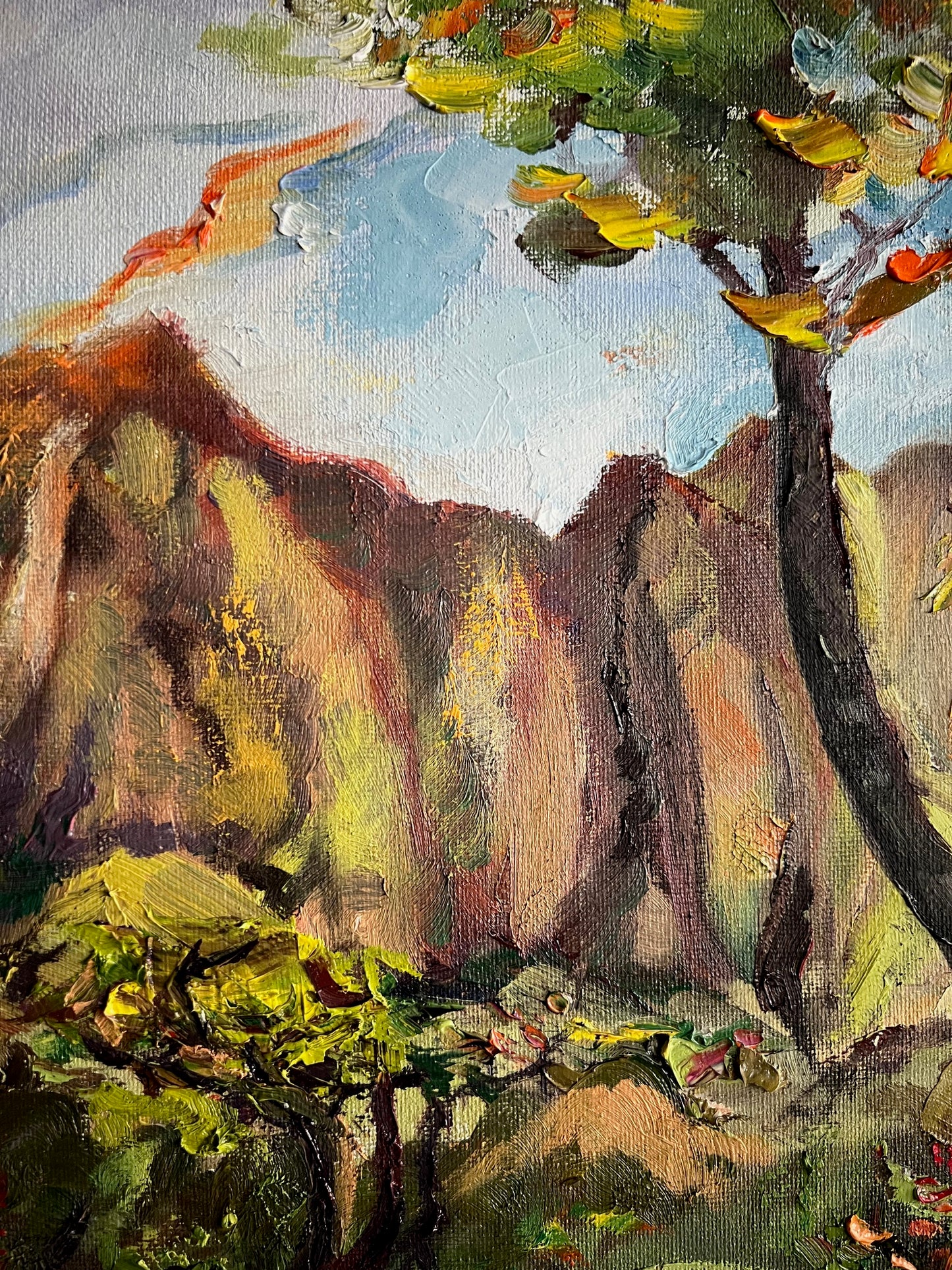 Mountain Reflections - Botanical Garden Collection - Oil Painting on canvas